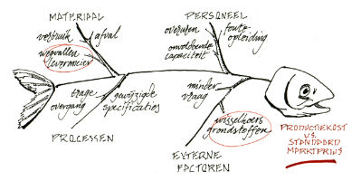 oorzaak-analyse visgraatdiagram